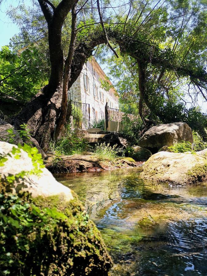 Le Moulin Camoula Maison d'hôtes 3*